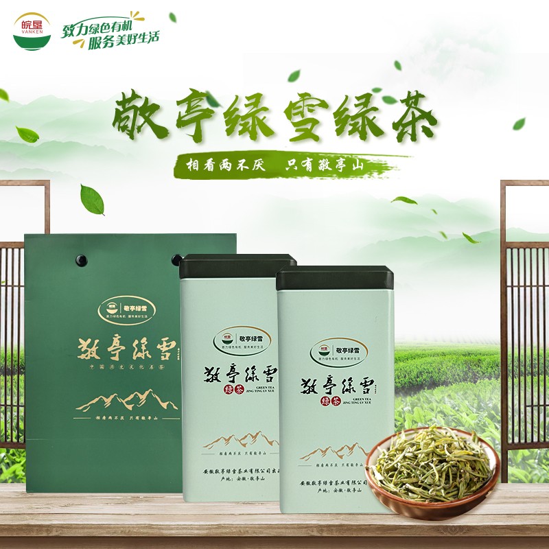 皖墾敬亭綠雪綠茶2021年一級(jí)新茶鮮嫩芽葉50g/罐